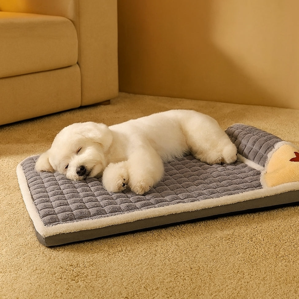 Bichon apaisé, dort profondément sur son lit pour chien