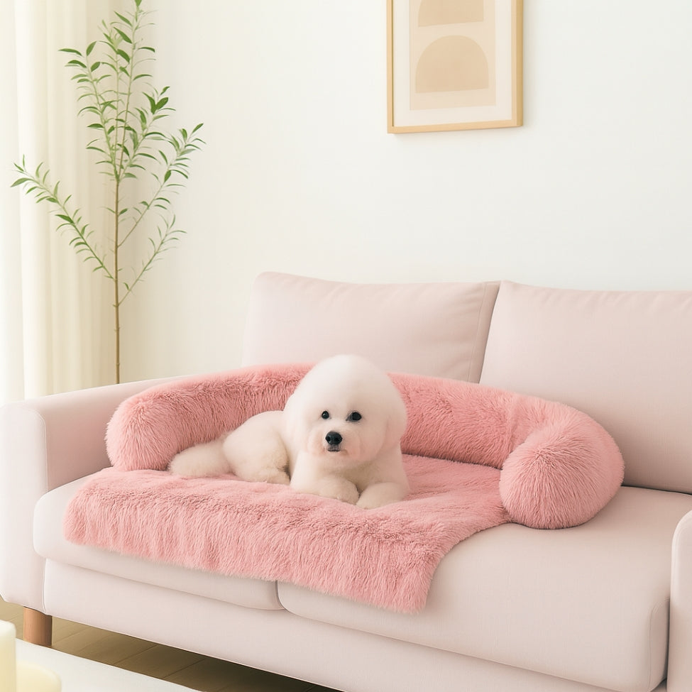 Bichon profite de la douceur de son lit canapé pour chien doux