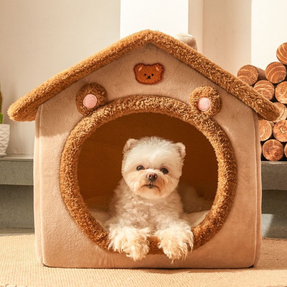 Bichon observe calmement depuis sa niche pour chien intérieur, Ma Maisonnette