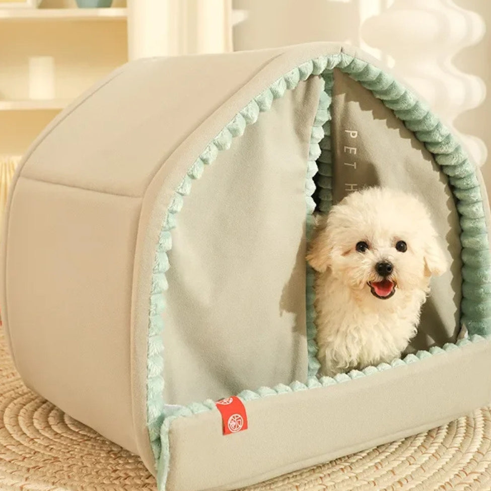 Bichon qui observe derrière les rideaux de sa niche pour chien intérieur