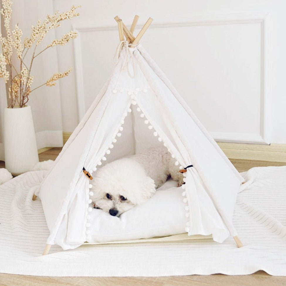 Petit bichon faisant sa sieste dans une niche pour chien intérieur