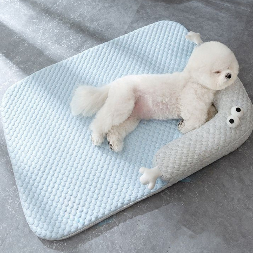 Petit bichon profitant d’un sommeil réparateur sur son tapis rafraichissant chien