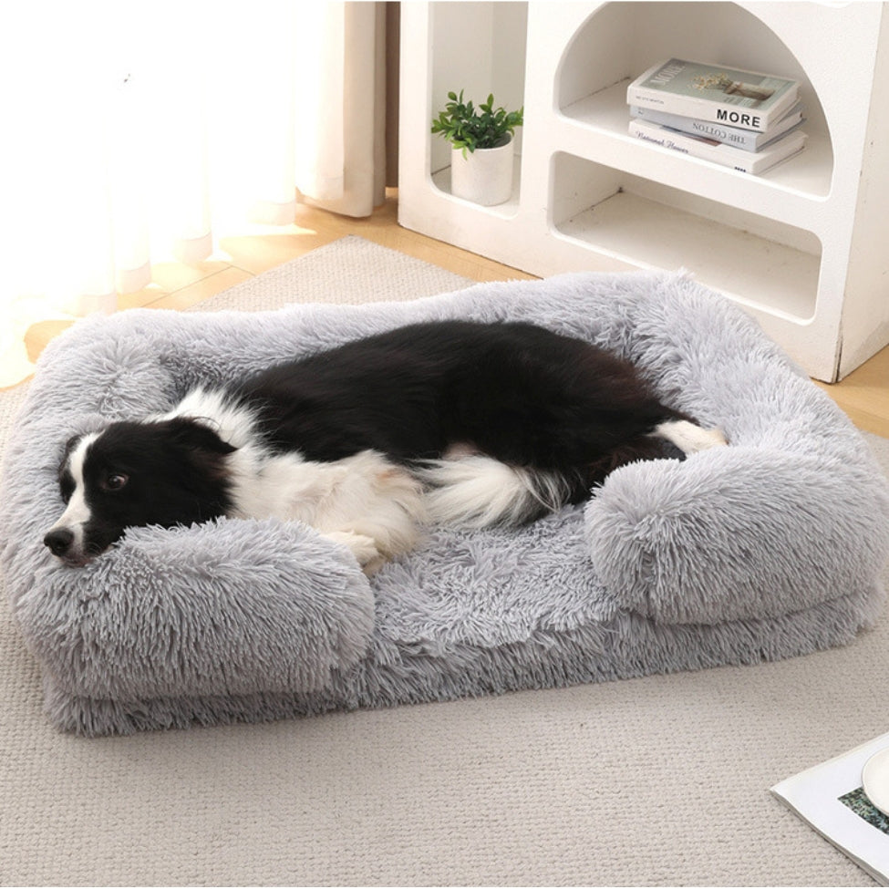 Border Collie allongé dans un coussin orthopédique chien apaisant et relaxant
