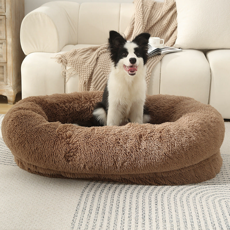 Border Collie assis dans un lit chien caramel doux, bord épais