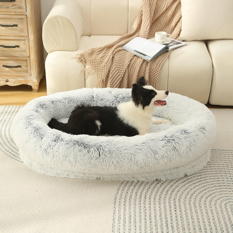Border Collie couché sur un lit pour chien XXL gris dégradé