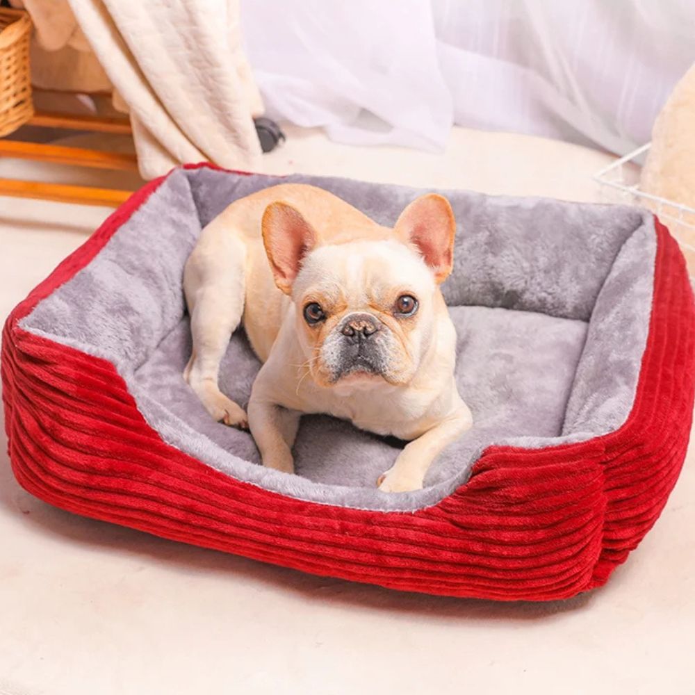 Bouledogue allongé paisiblement sur un panier chien, rouge, chaud et accueillant