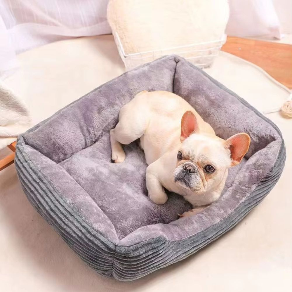 Bouledogue levant la tête, installé sur un panier chien moelleux et spacieux