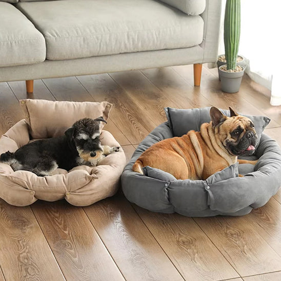Bouledogue et schnauzer chacun dans son panier chien, moment de détente apaisante
