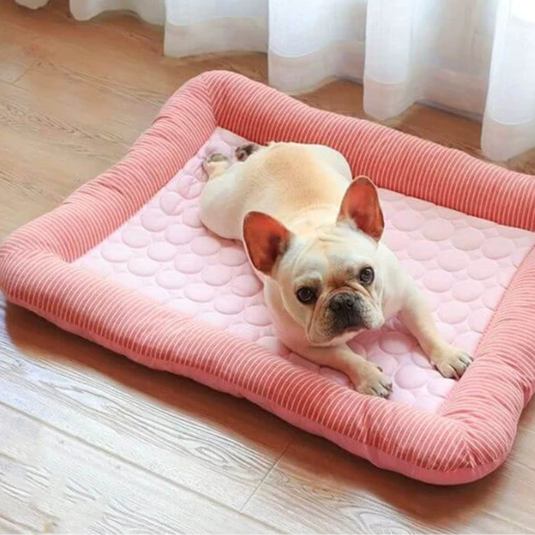 Bouledogue couché sur un tapis rafraichissant chien rose