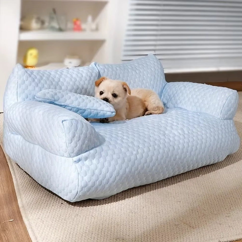 Jeune chiot détendu et relax sur un canapé chien Oslo apaisant