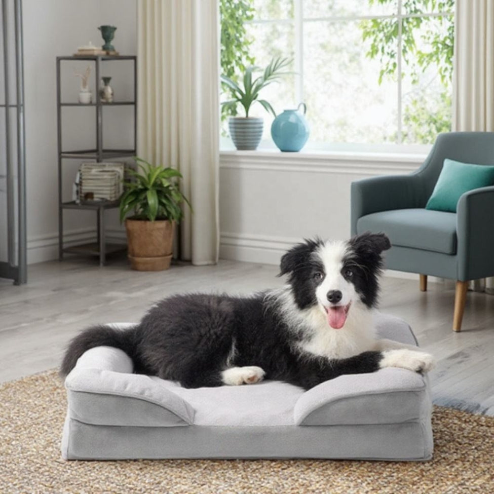 Border Collie allongé confortablement sur un canapé chien Oya