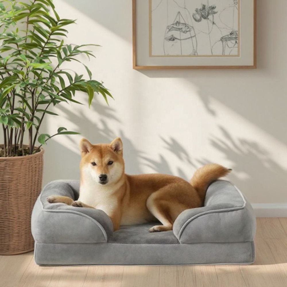 Shiba confortablement installé sur un canapé chien au design moderne