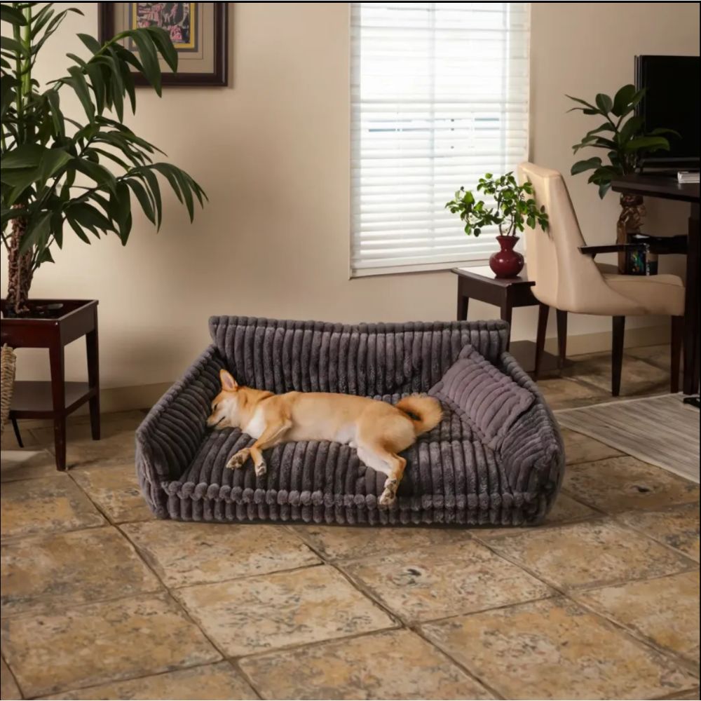 Shiba endormi pour une sieste sur un canapé chien marron confortable