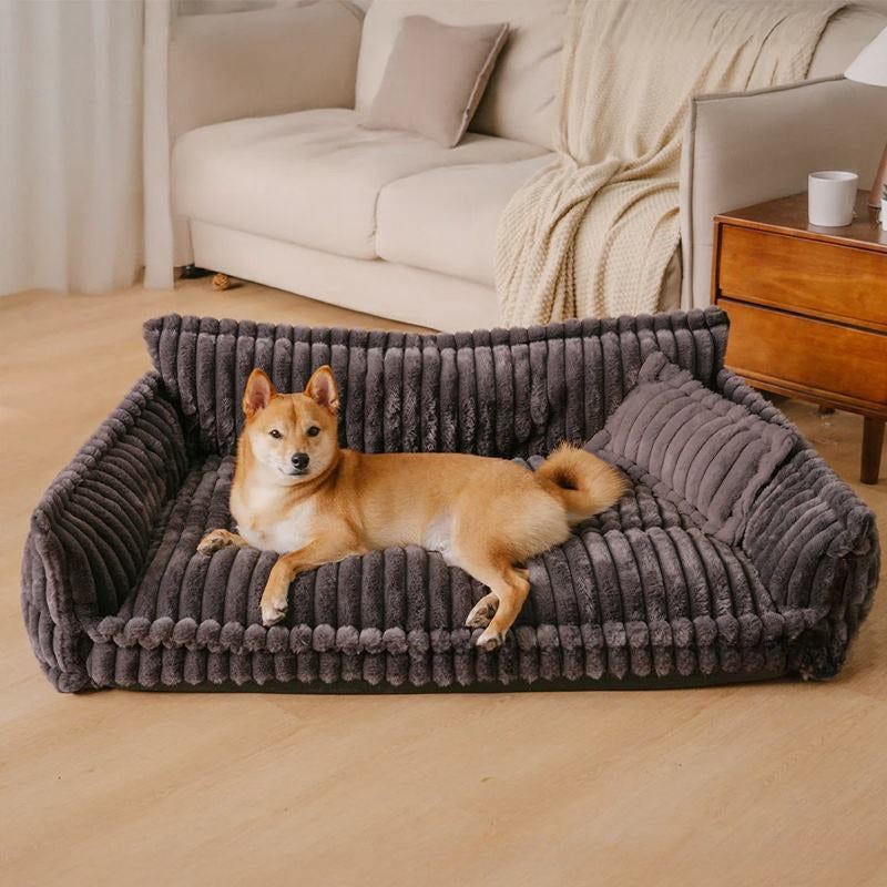 Shiba au regard droit, assis sur un canapé chien marron confortable