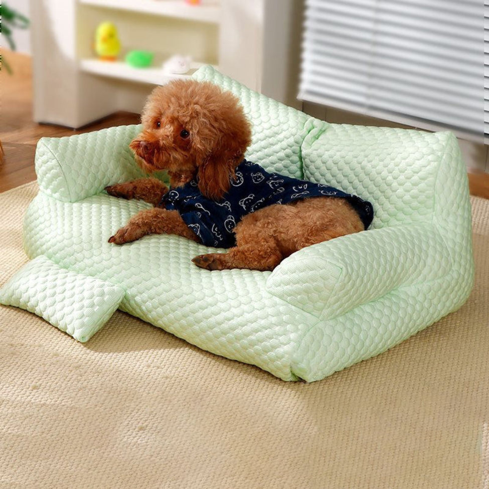 Caniche marron installé confortablement sur un canapé chien Oslo vert