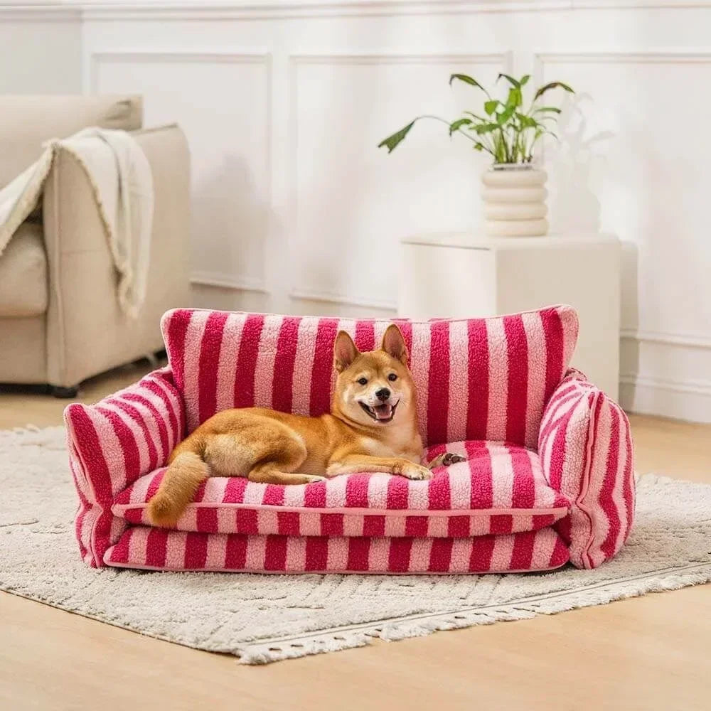Shiba détendu et relax sur un canapé pour chien Paris apaisant