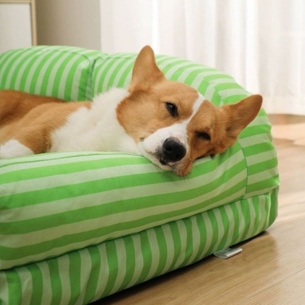 canape-pour-chien-apaisant