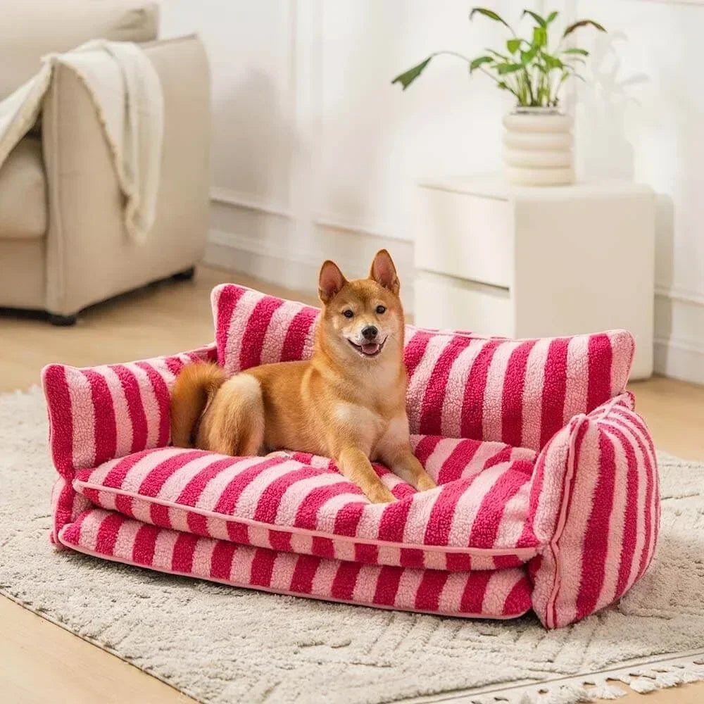 Shiba reposant sur un canapé pour chien Paris, moelleux et confortable