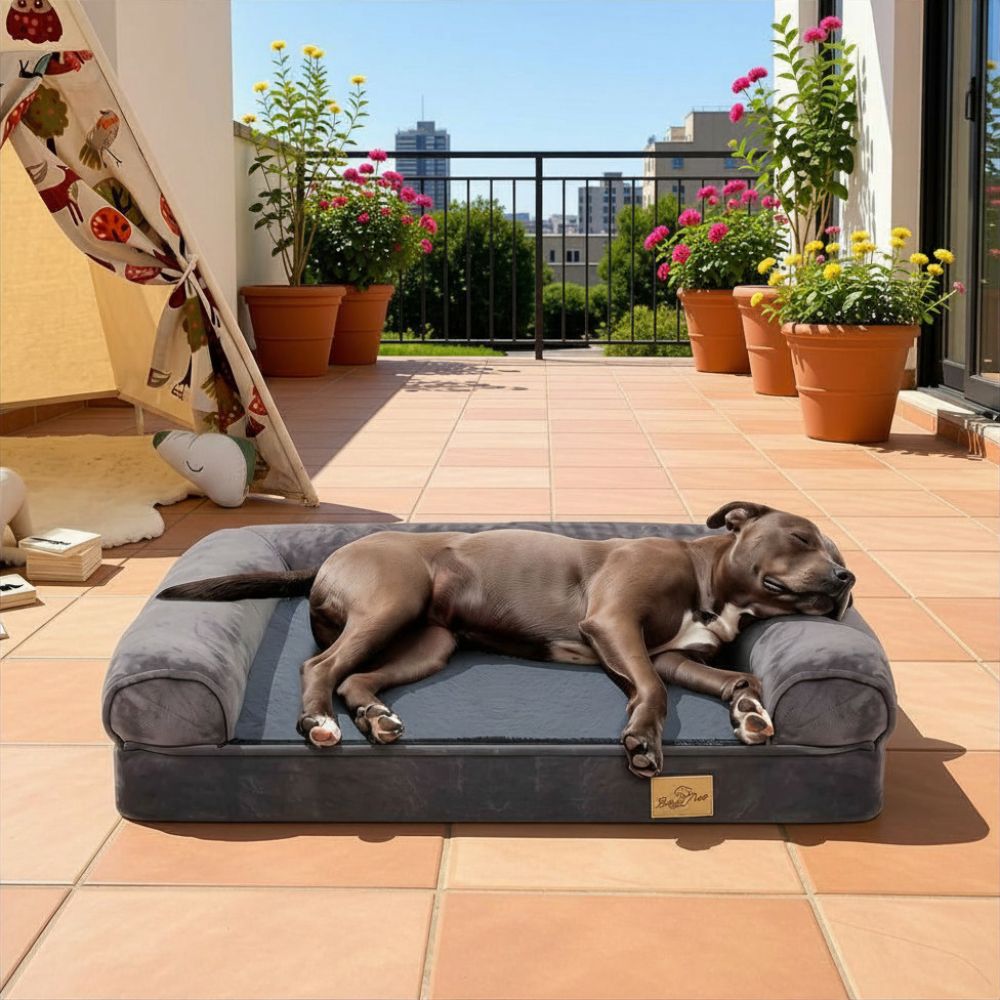 Canapé pour chien XXL installé sur une terrasse, chien marron endormi dessus