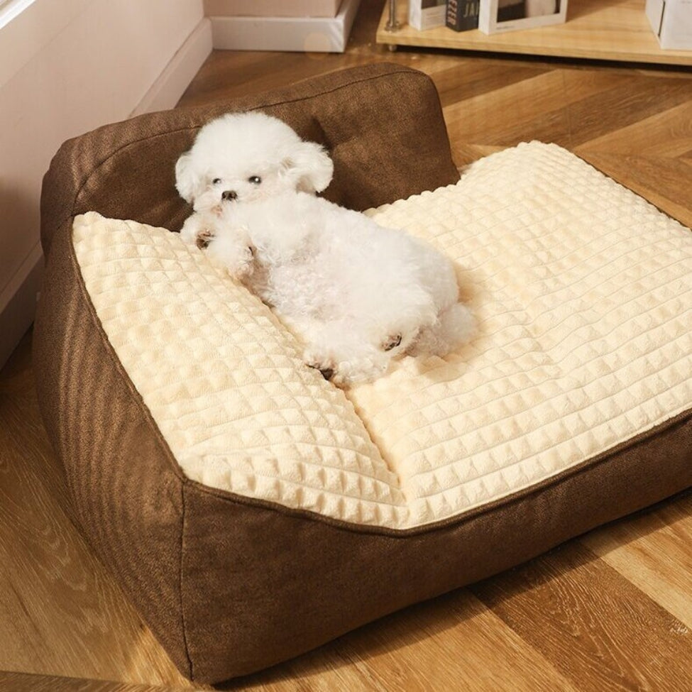 Caniche blotti dans un couchage pour chien rembourré