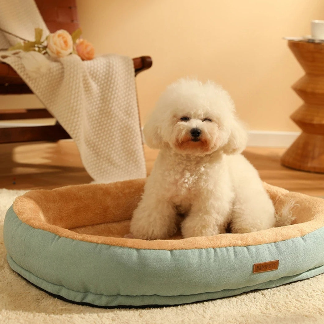 Caniche assis dans un panier à chien durable et élégant, confort longue durée
