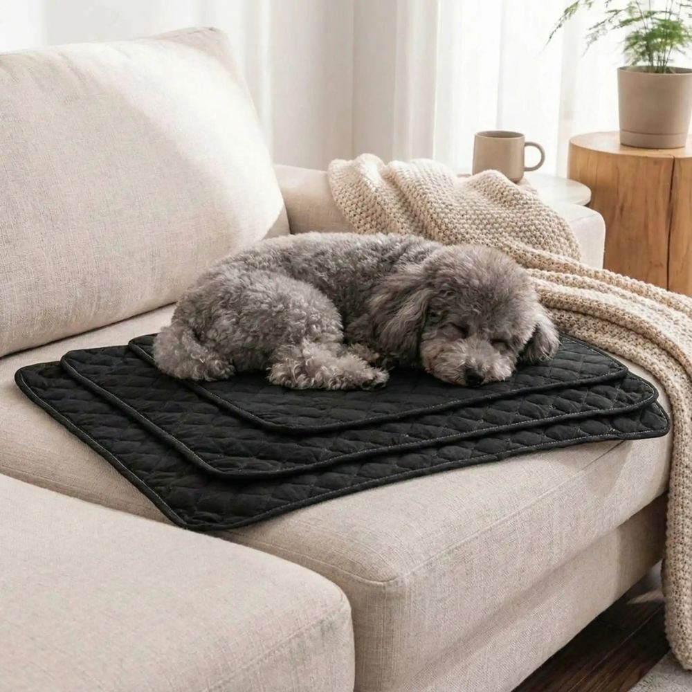 Tapis chien lavable en trois tailles, posés sur un canapé, avec un caniche qui dort