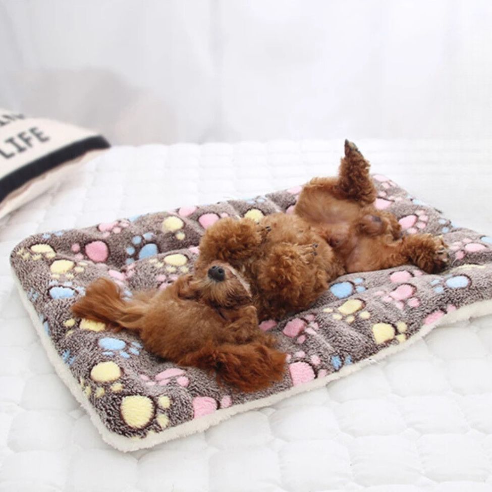Toutou dormant confortablement sur un tapis pour chien sommeil