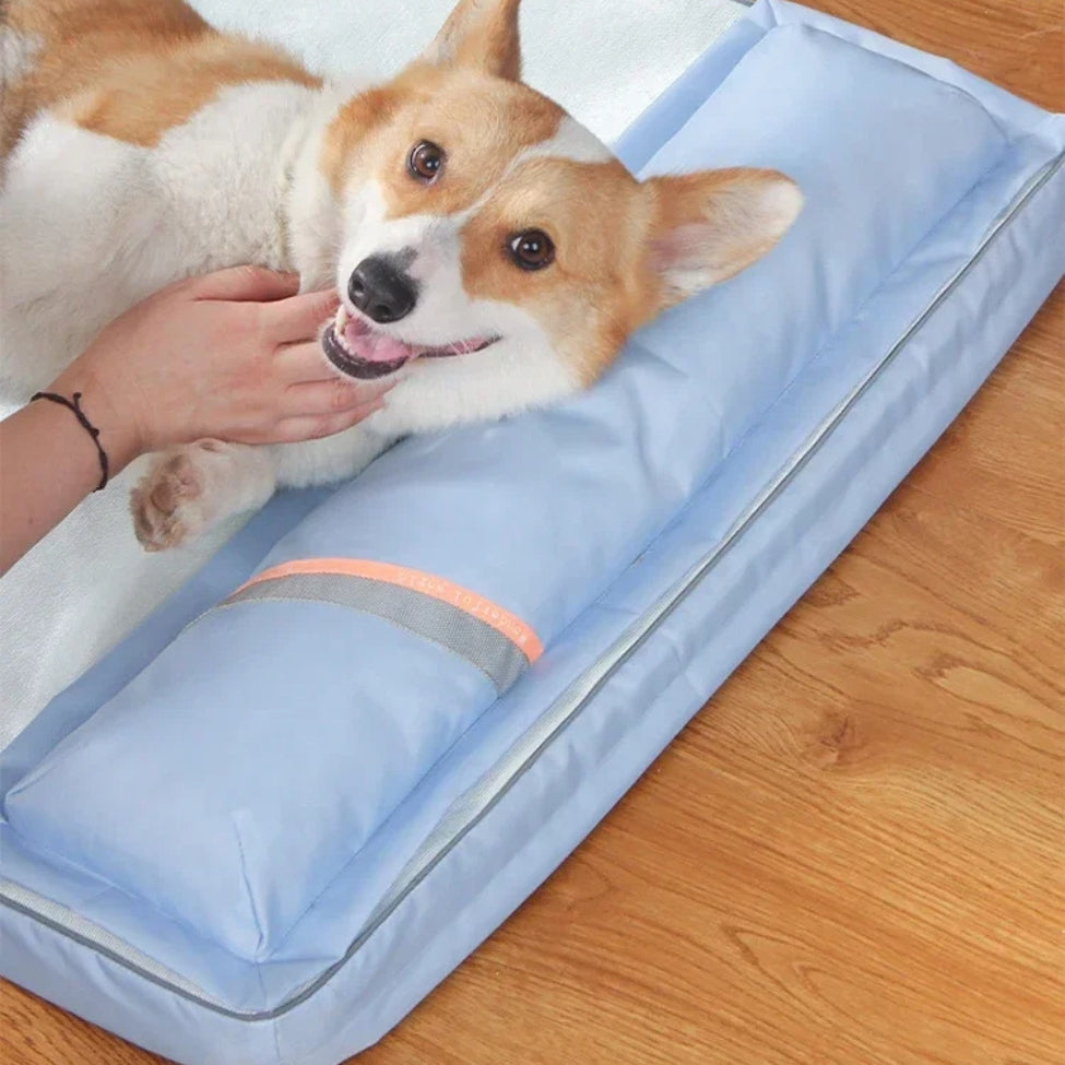chien Corgi se fait caresser sur un matelas rafraichissant pour chien