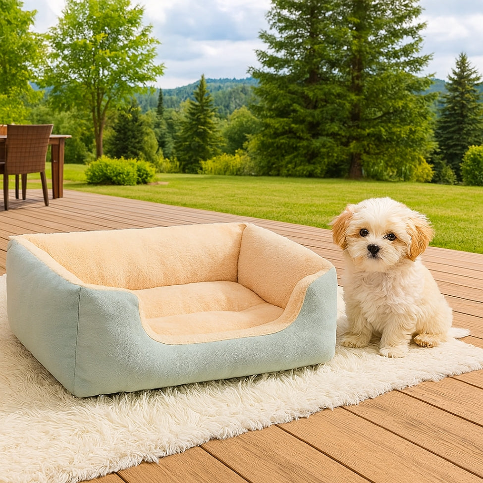 Petit chien assis prĂšs dâun lit pour chien vert, style moderne, dans le jardin