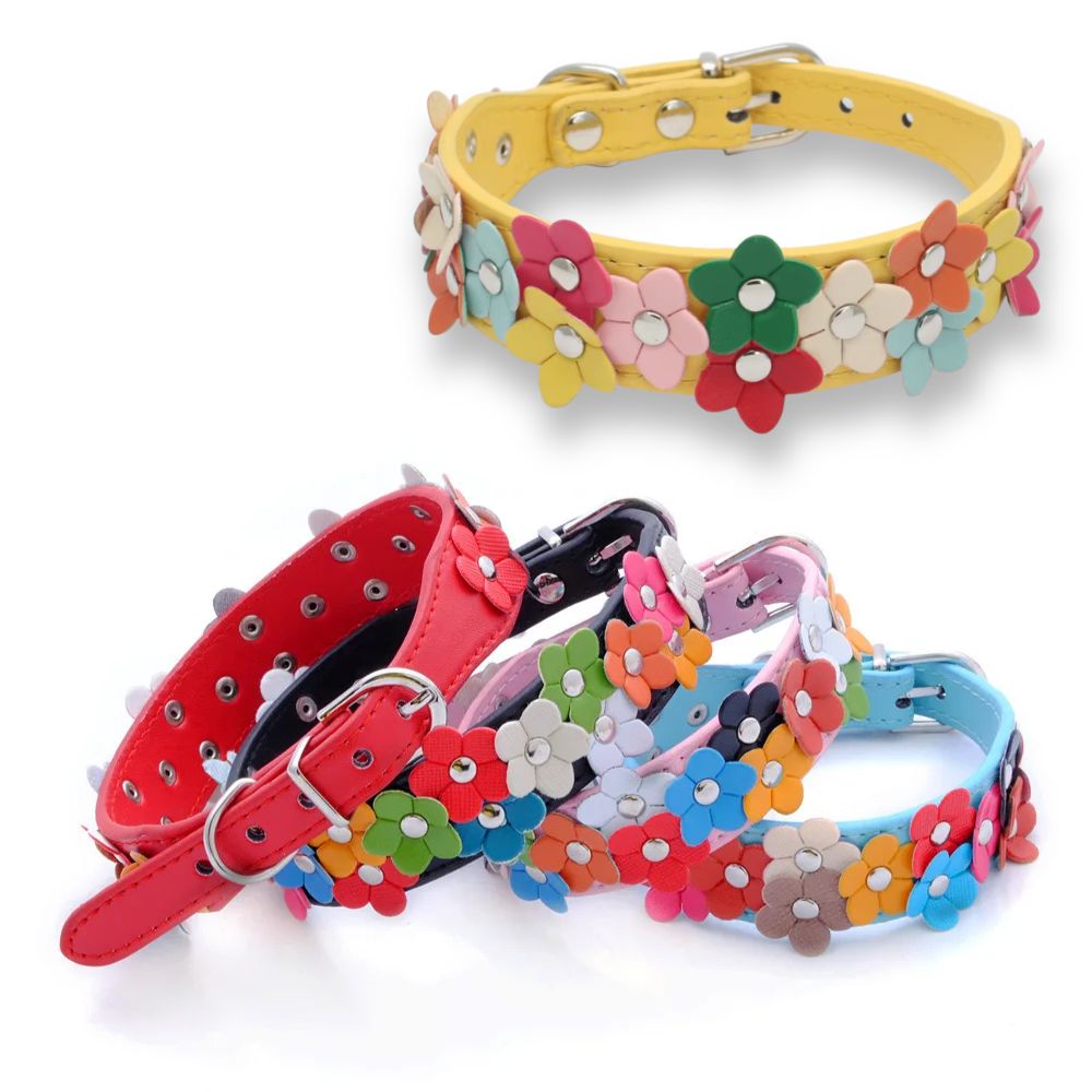Collier chien original disponible en cinq couleurs élégantes : jaune, rose, rouge, bleu et noir