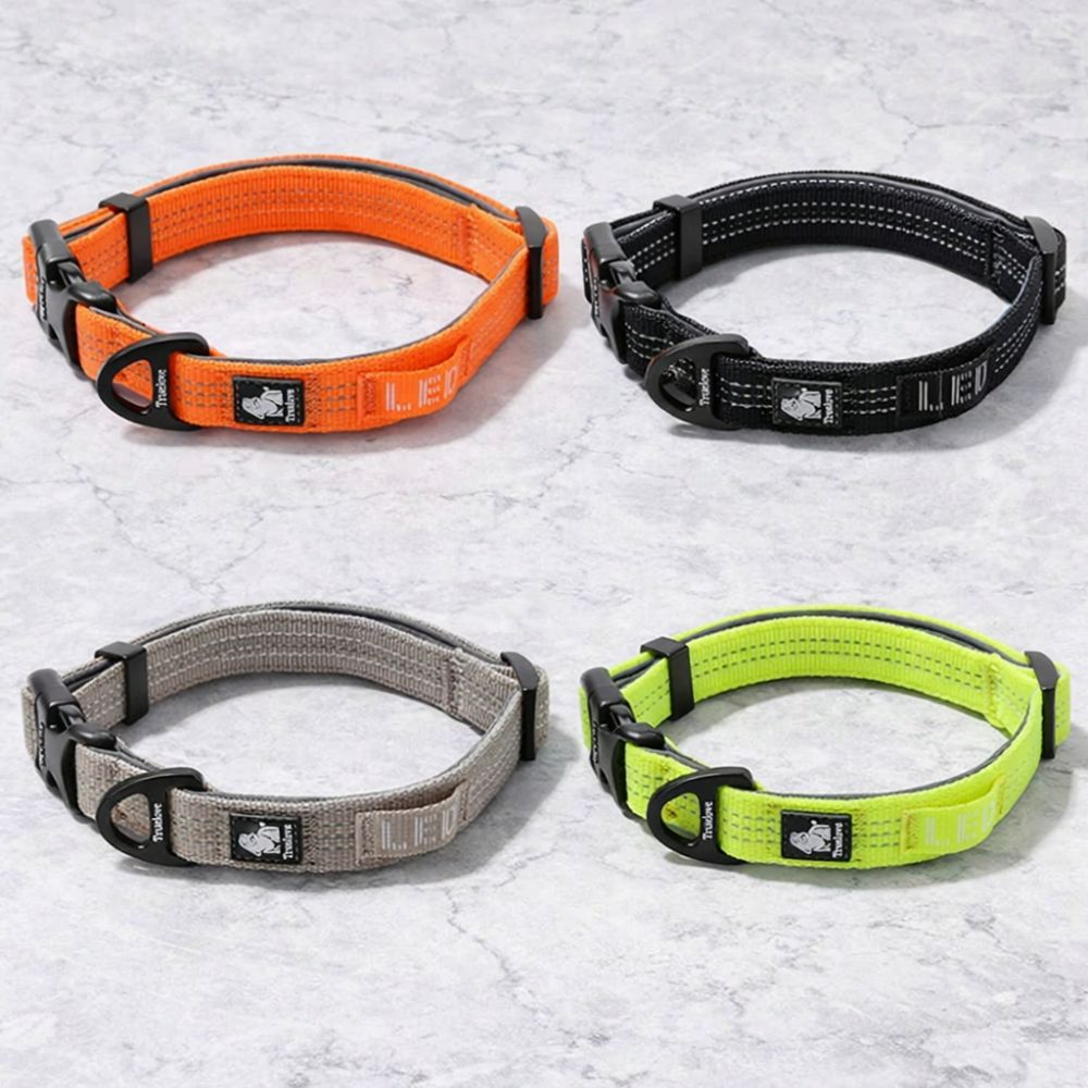 Collier pour chien sport disponible en jaune néon, noir, gris et orange