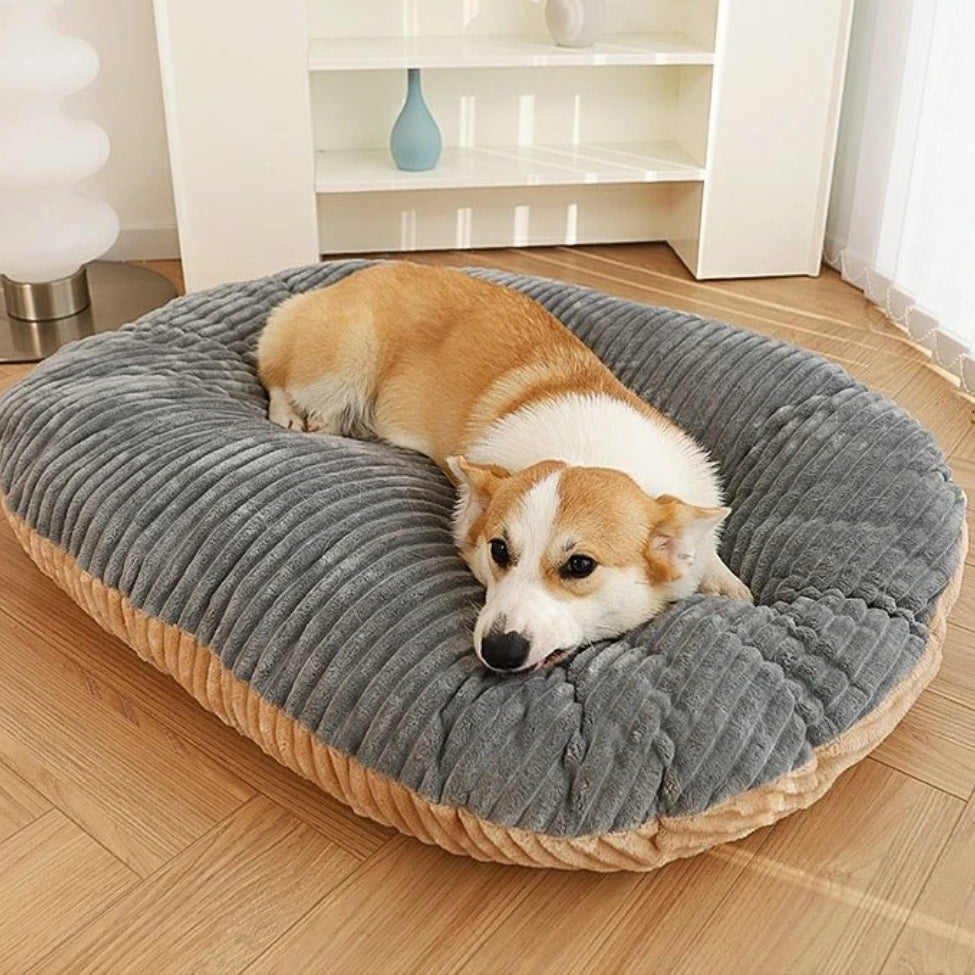 Corgi paisible installé sur un coussin chien déhoussable, confort optimal pour le repos