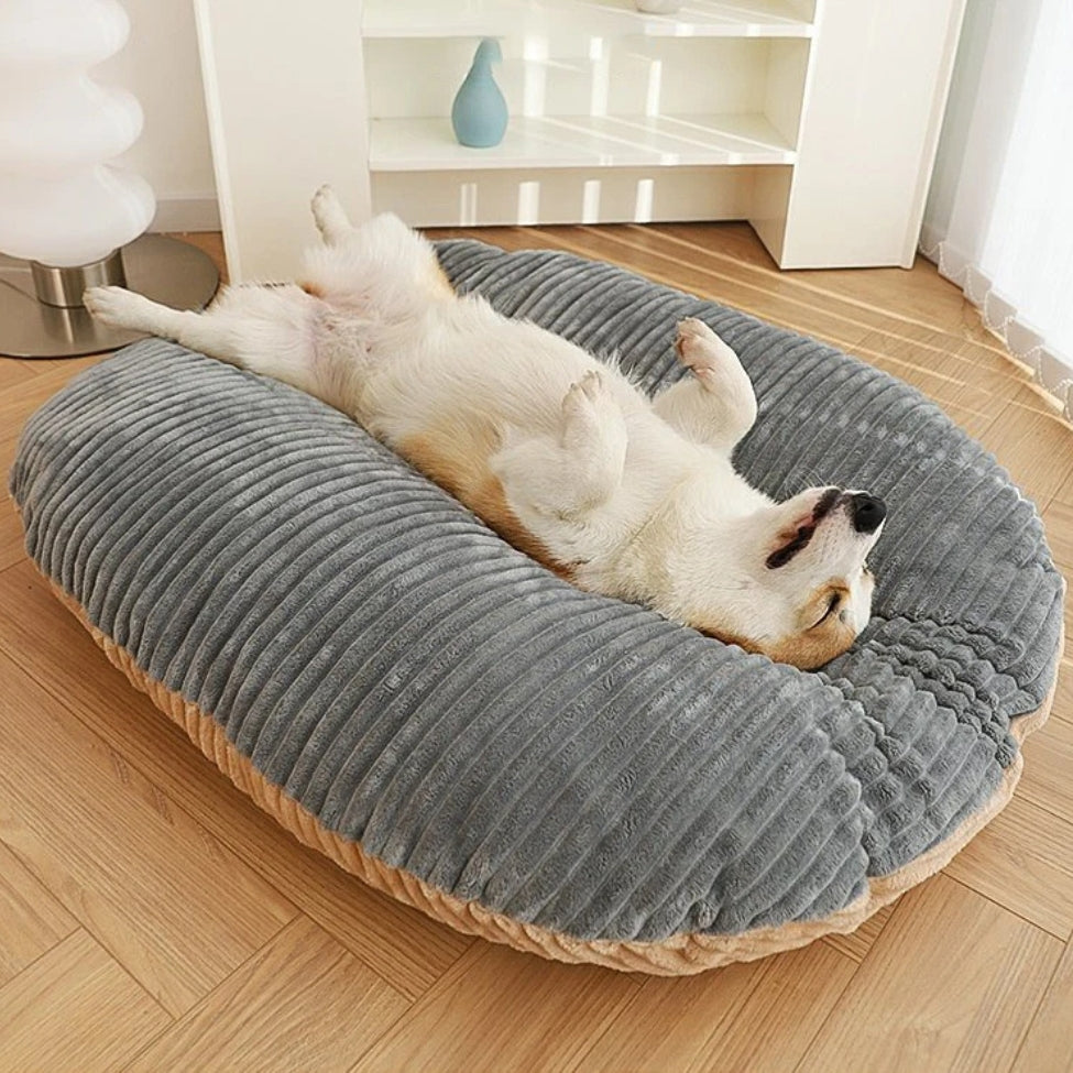 Corgi allongé sur un coussin chien déhoussable moelleux, dos visible et confort enveloppant