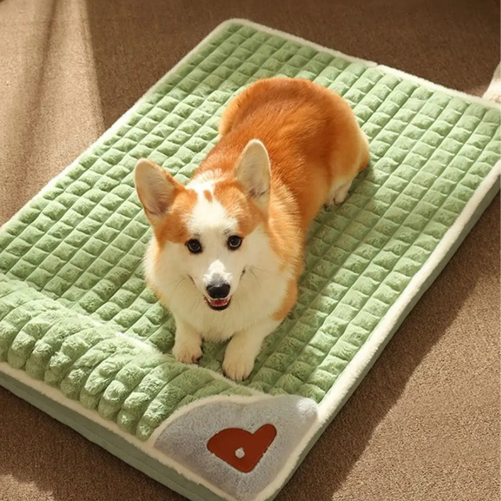 Corgi installé confortablement sur lit pour chien, regarde vers le haut