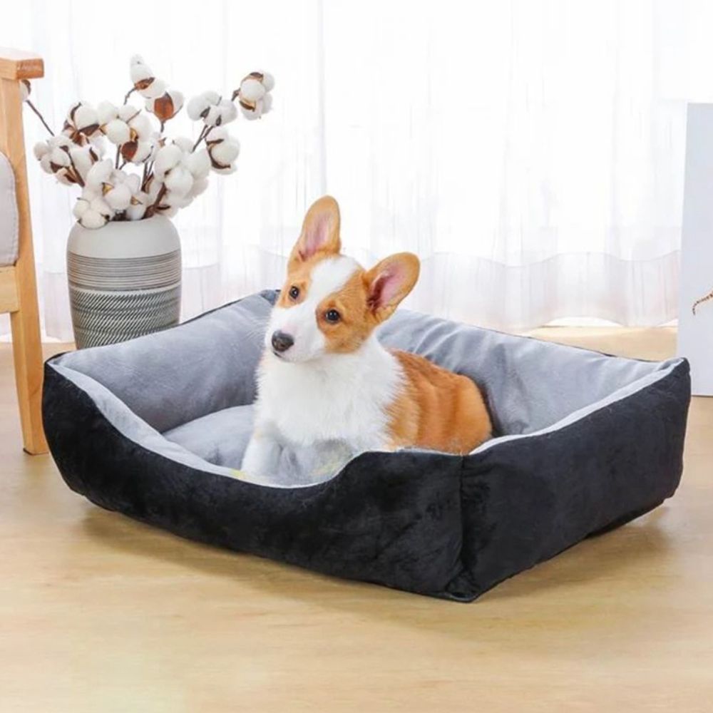 Corgi assis dans un panier pour chien gris noir, moelleux et chaud
