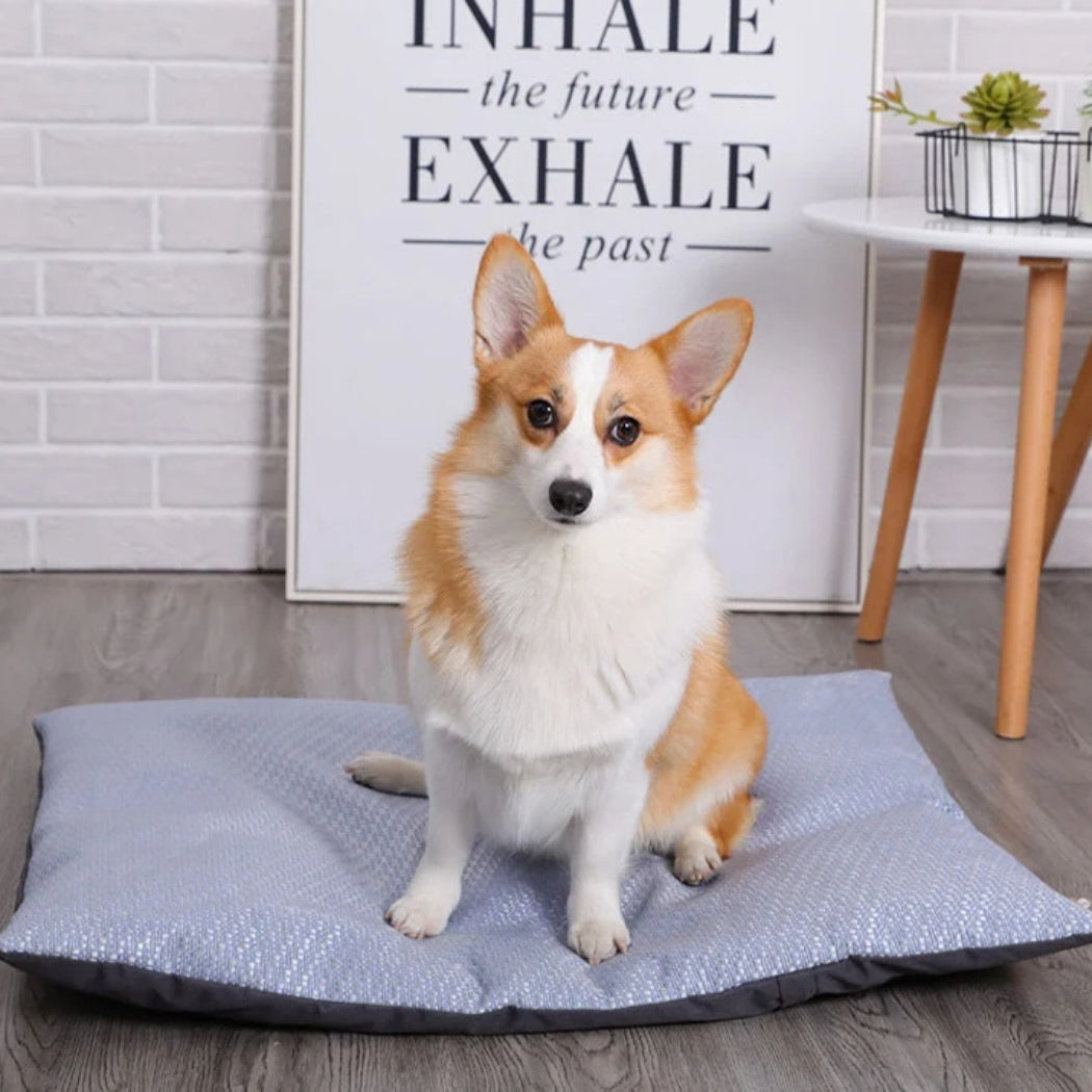 Corgi assis sur un tapis rafraichissant chien durable et pratique