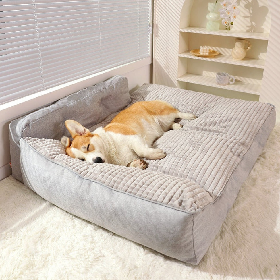 corgi sur un grand lit chien fait des siestes de reve