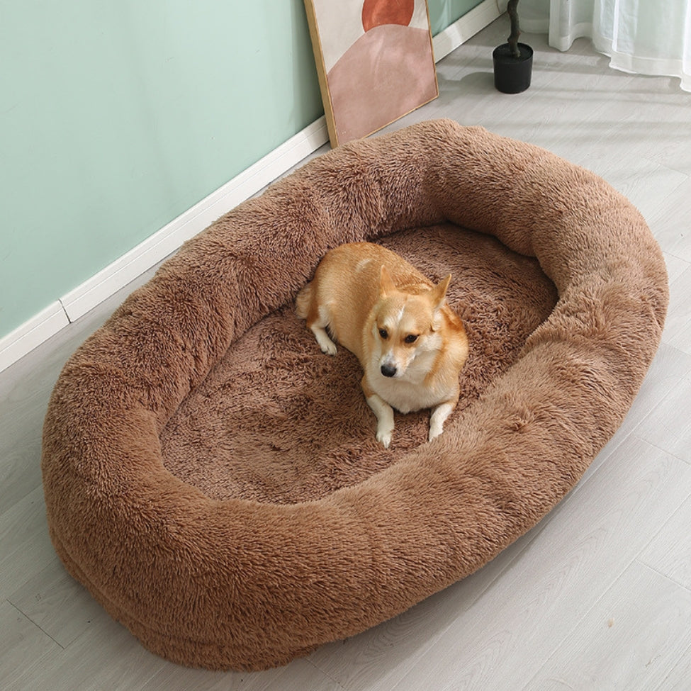 Corgi dĂ©tendu dans un lit chien antiâstress et doux, ambiance cocooning