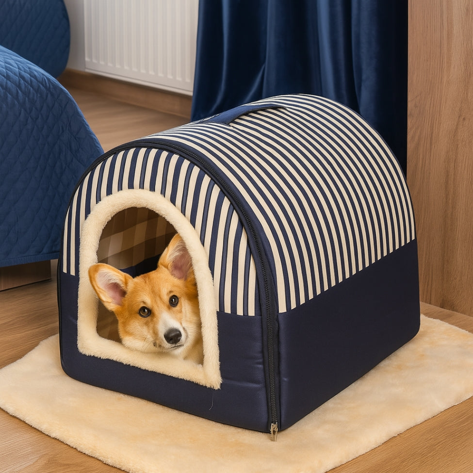 Corgi qui observe depuis sa niche pour chien intérieur de couleur bleue