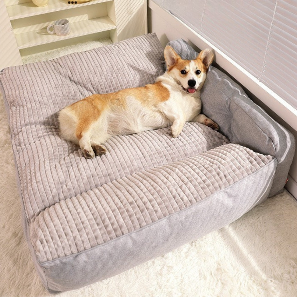Corgi allonge sur grand lit chien, regarde vers le plafond