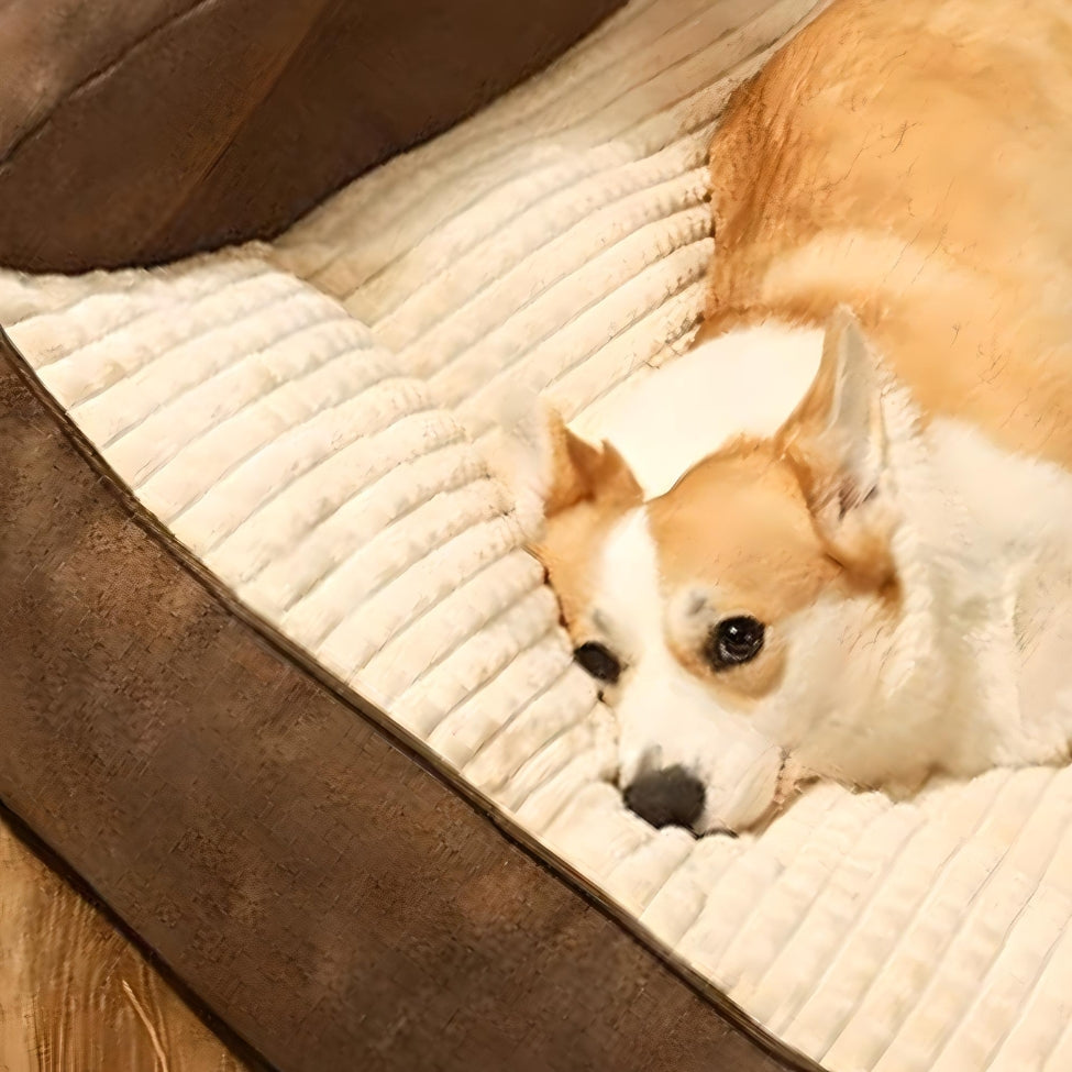 Corgi tĂȘte posĂ©e sur le bord moelleux du couchage pour chien, soutien nuque