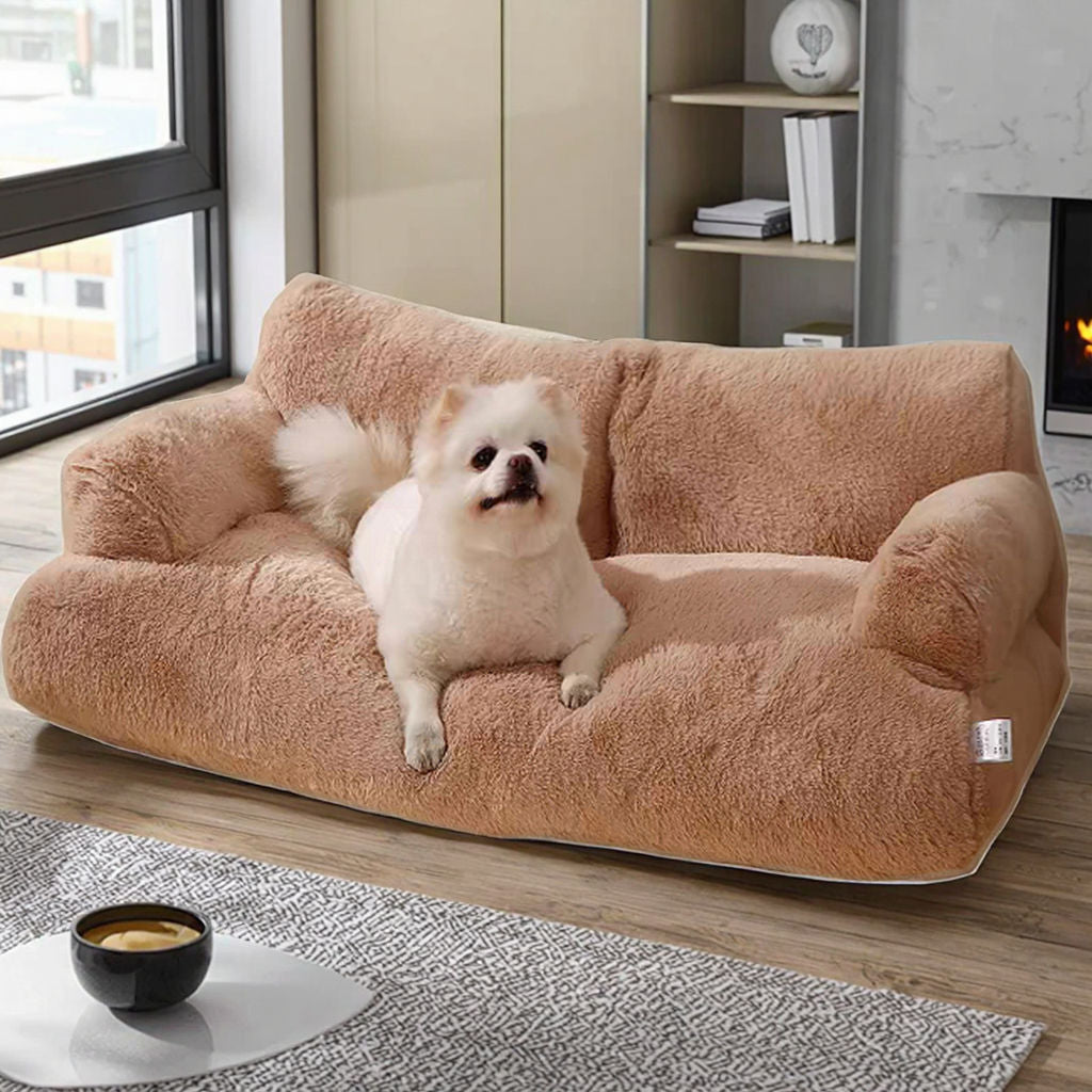 Spitz confortablement assis sur un canapé pour chien Cosysofa au design soigné