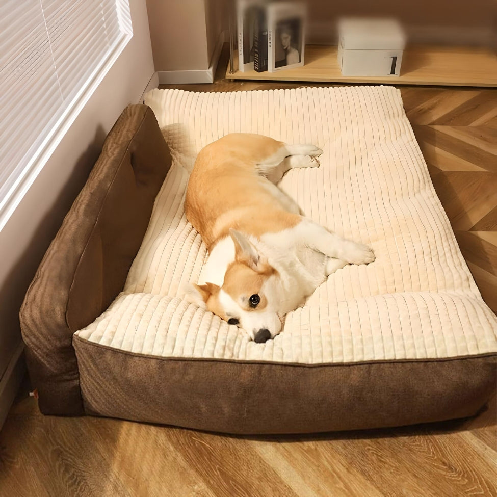 Corgi profite dâun repos paisible sur couchage pour chien moelleux, maison