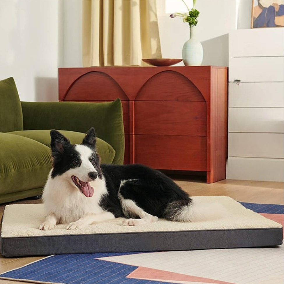 coussin chien - en mousse à mémoire de forme