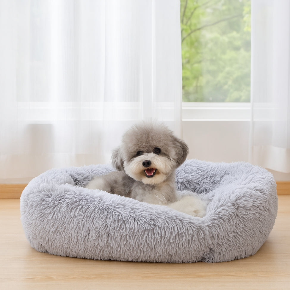 coussin-chien-caniche-confortablement-installe