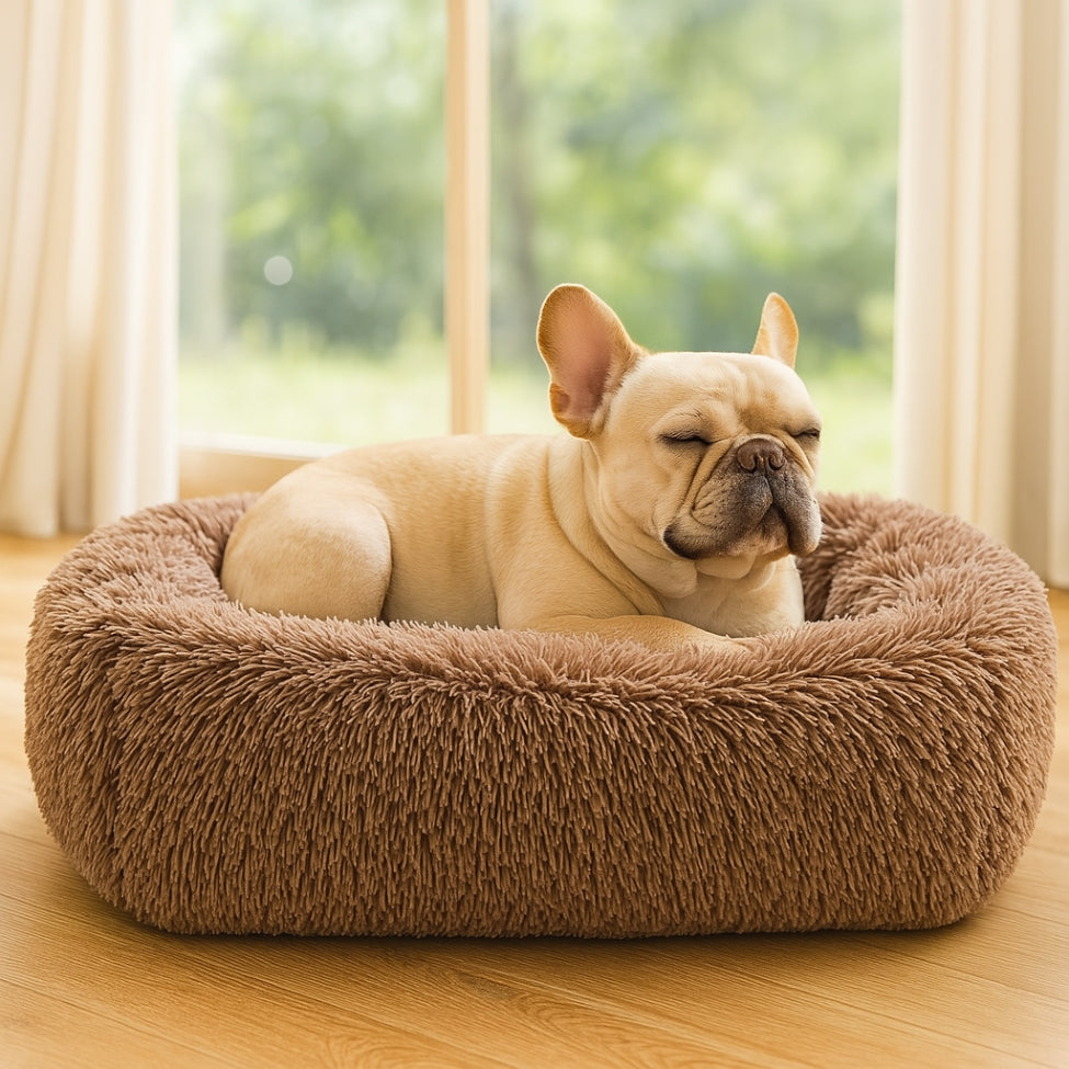 coussin-chien-confortable-pour-bouledogue-endormi