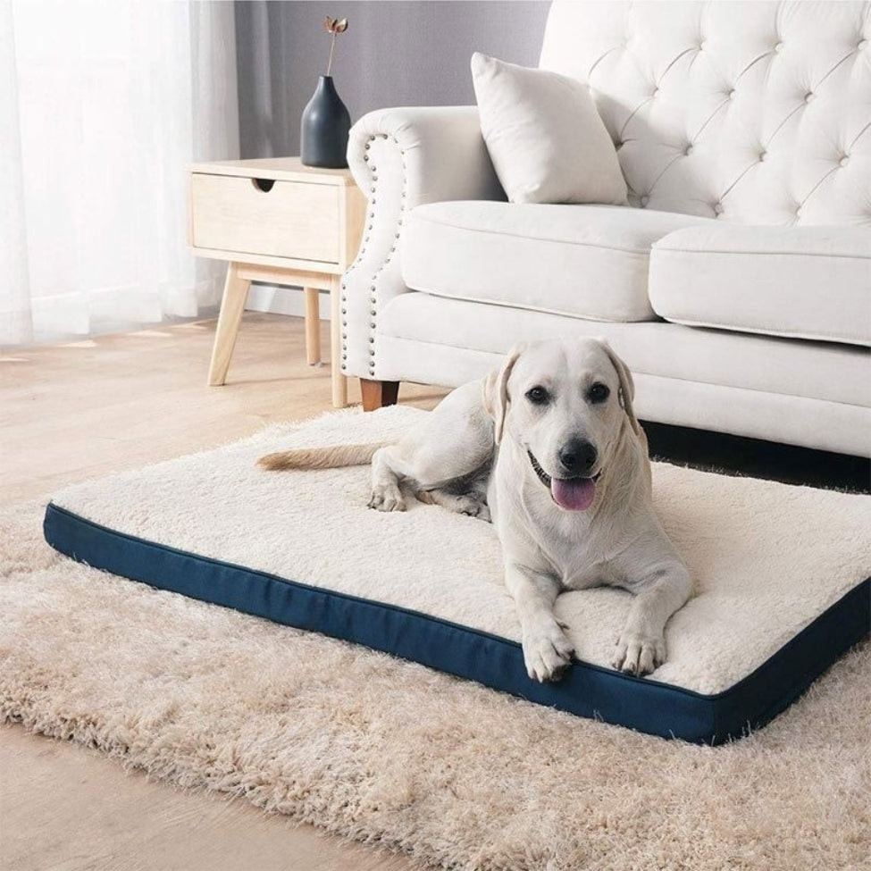 coussin chien - en mousse à mémoire de forme