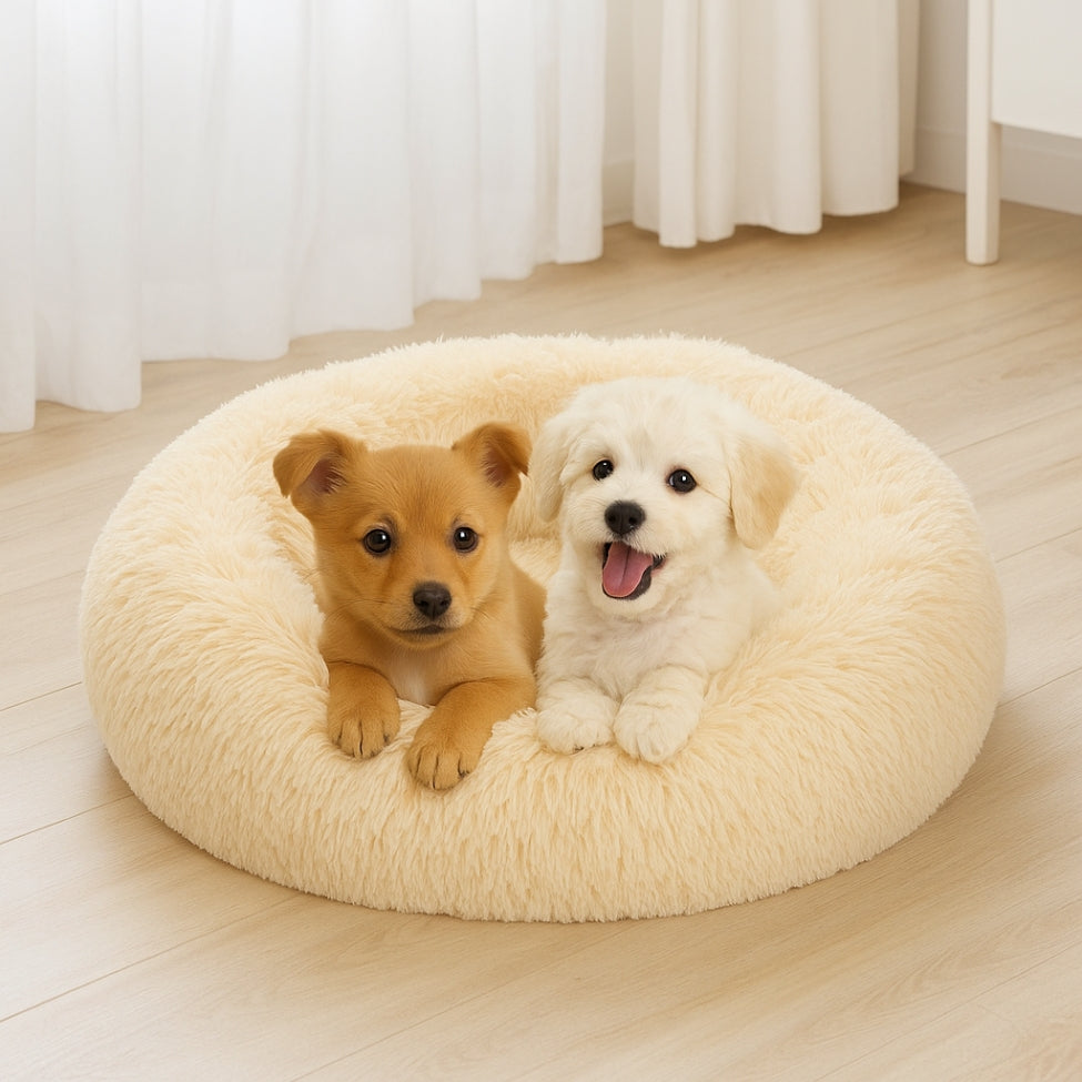 Deux petits chiots installés sur le coussin chien, observent