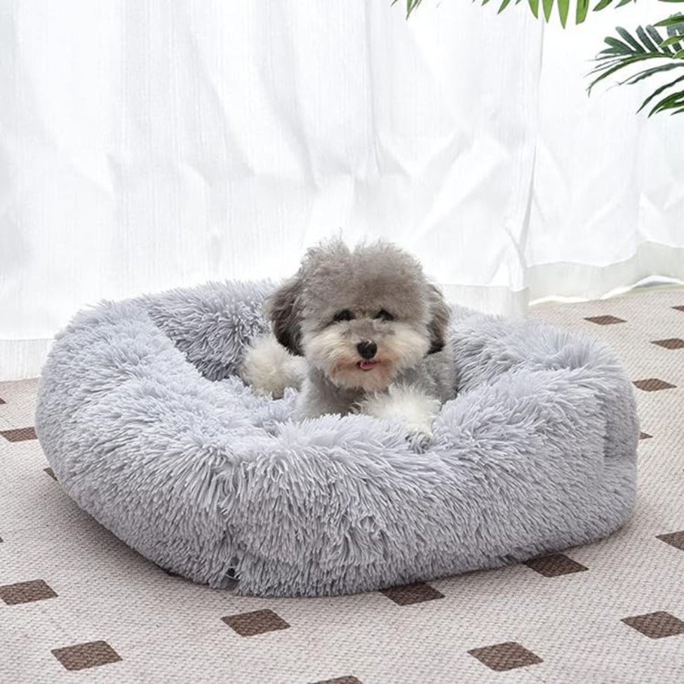 Caniche assis dans un coussin chien douillet et confortable pour un sommeil profond et apaisant