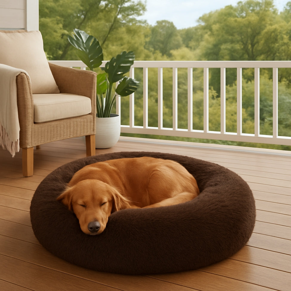 coussin-chien-sur-veranda-toutou-dort-dedans